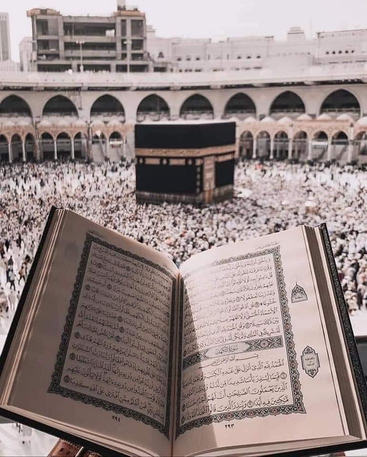 السلام علیکم ورحمتہ اللہ وبرکاتہ☘️💚
صبح بخیر 🌞✨

يُسَبِّحُ لَهٗ مَا فِىۡ السَّمٰوٰتِ وَالۡاَرۡضِ‌ۚ وَهُوَ الۡعَزِيۡزُ الۡحَكِيۡمُ♥️✨🌸

جتنی چیزیں آسمانوں اور زمین میں ہیں سب اس کی تسبیح کرتی ہیں اور وہ غالب حکمت والا ہے❤‍🔥😇🌼🥀.