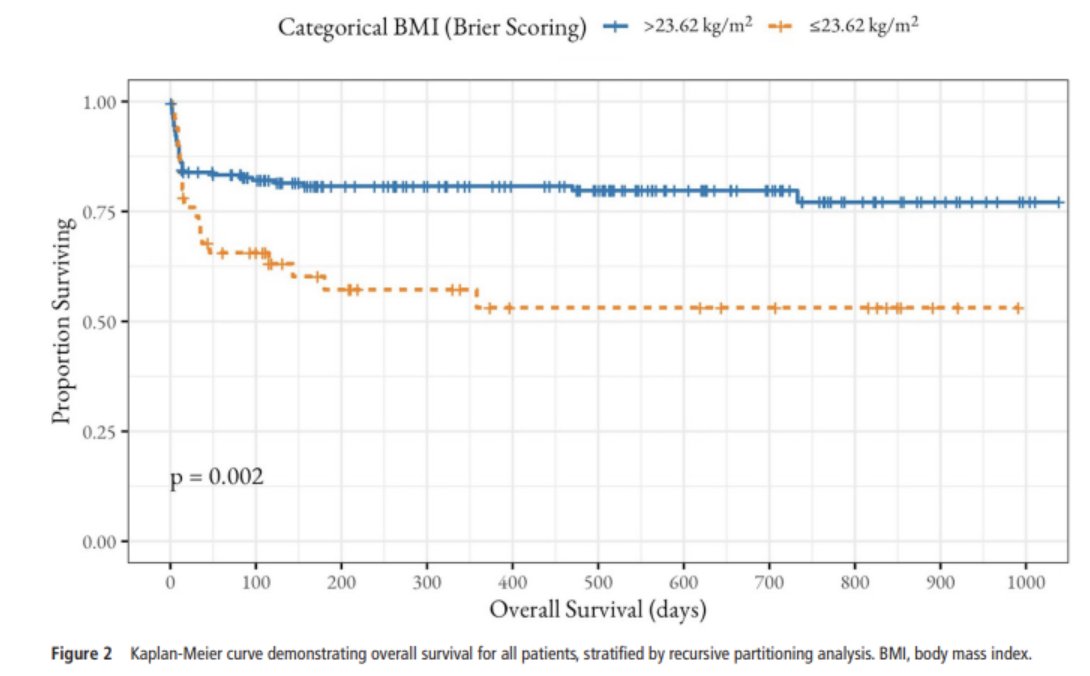 Adeline Fecker tweet media