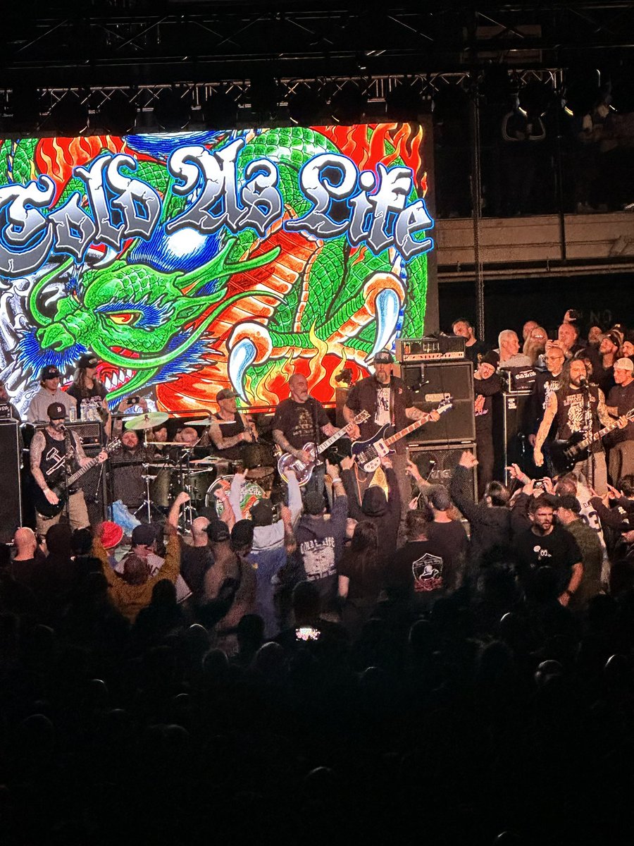 noechonet's tweet image. Detroit hardcore 🐉