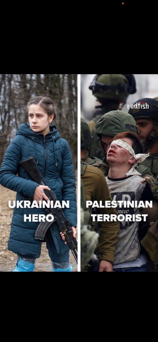 DOUBLE STANDARDS: UKRAINIAN HERO - PALESTINIAN 'TERRORIST'