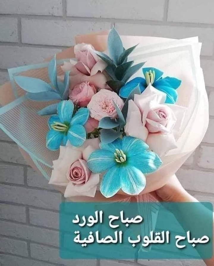 @aQueen_Dona ♥️♥️♥️