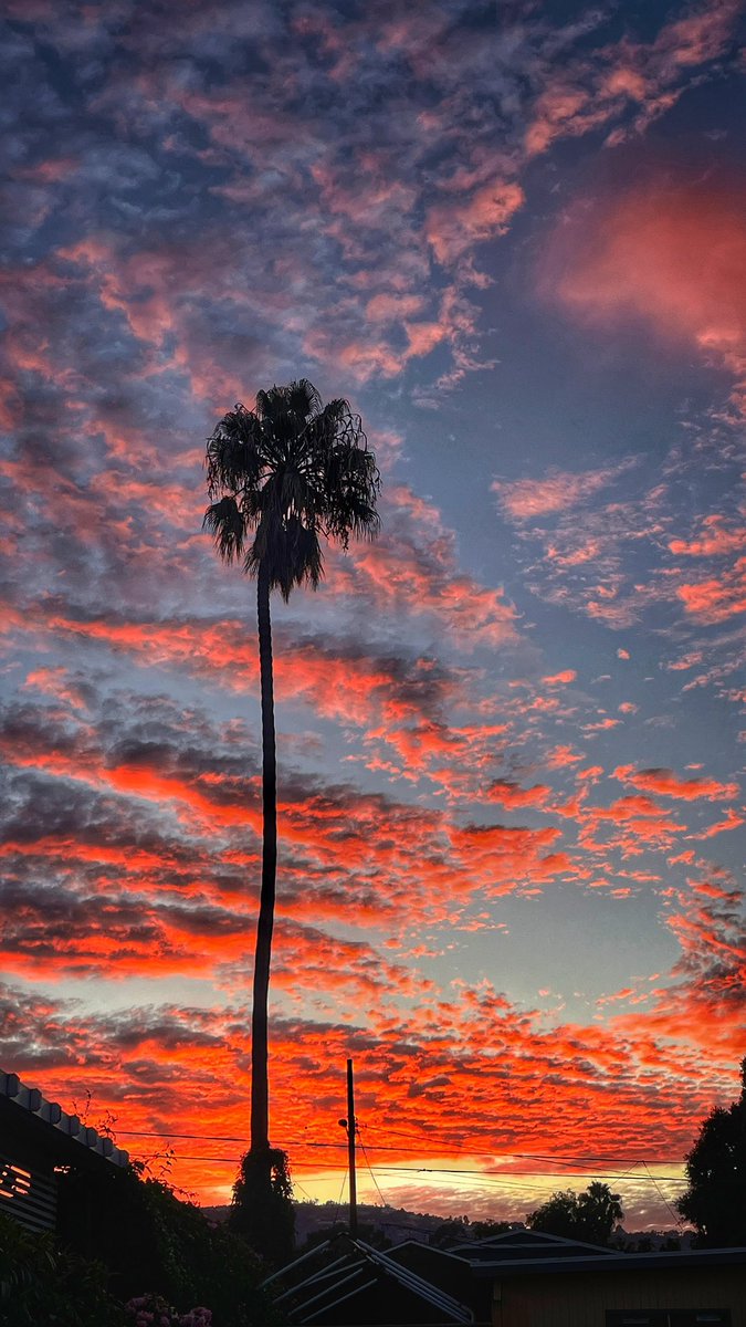 michaelwadapics's tweet photo. Beautiful sunset!
#sunset #sunsetphotography #beautifuldestinations #michaelwadaphotography https://t.co/YfX82PK9aS