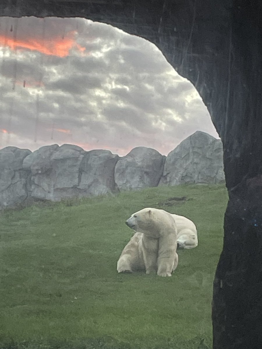 jo_szpak's tweet photo. #Manitoba sky at @booatzoo1 https://t.co/8RGsidLnmv
