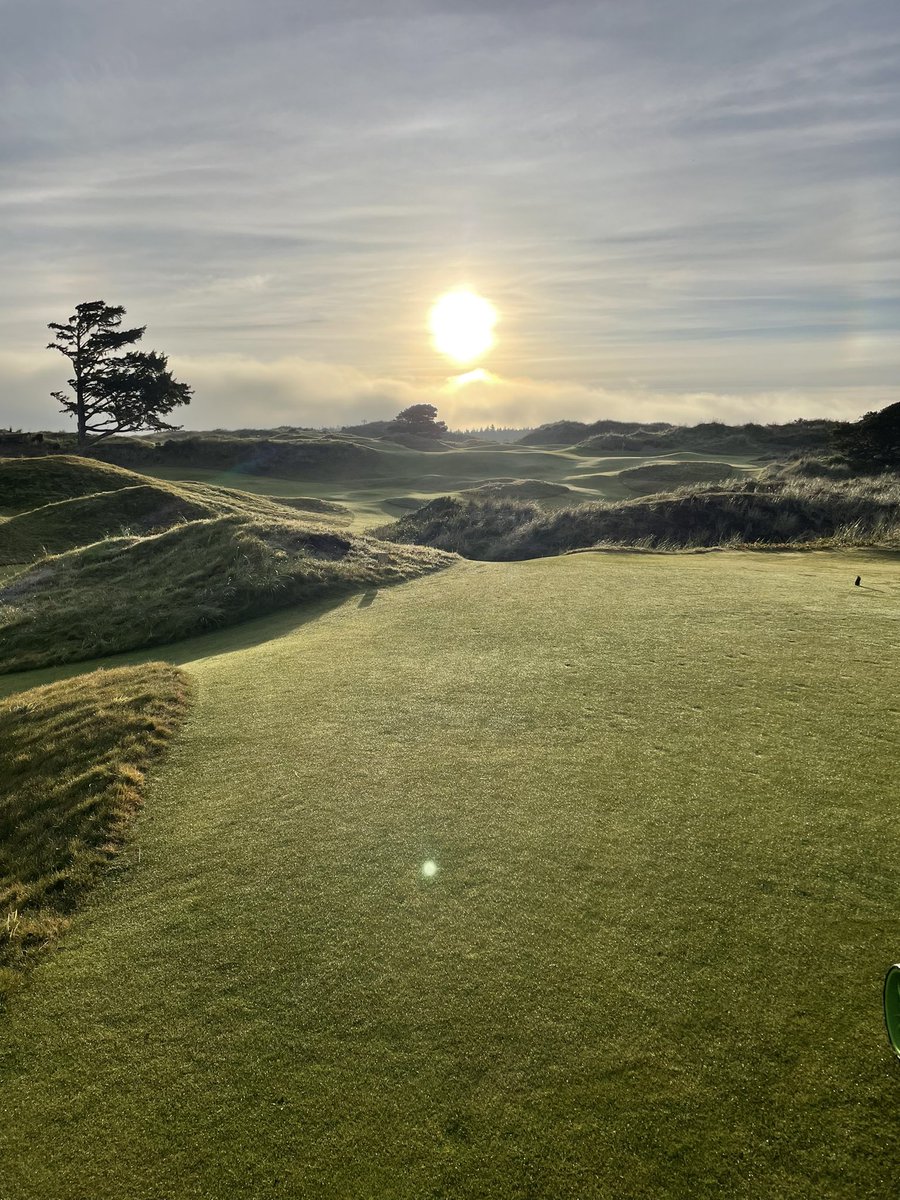 copper_super's tweet photo. Great trip to Bandon with a great bunch of guys. The weather was on our side this time. Classic ghost tree shot. Preserve and old mac are still my favourite. https://t.co/ucE86c9E4D