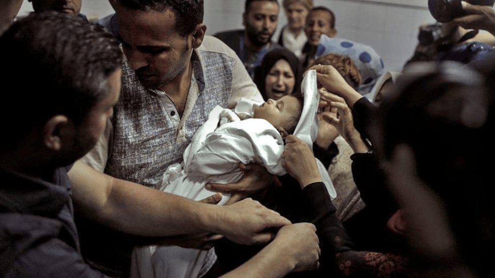 Ahmed Al_qadi 🌟 tweet media