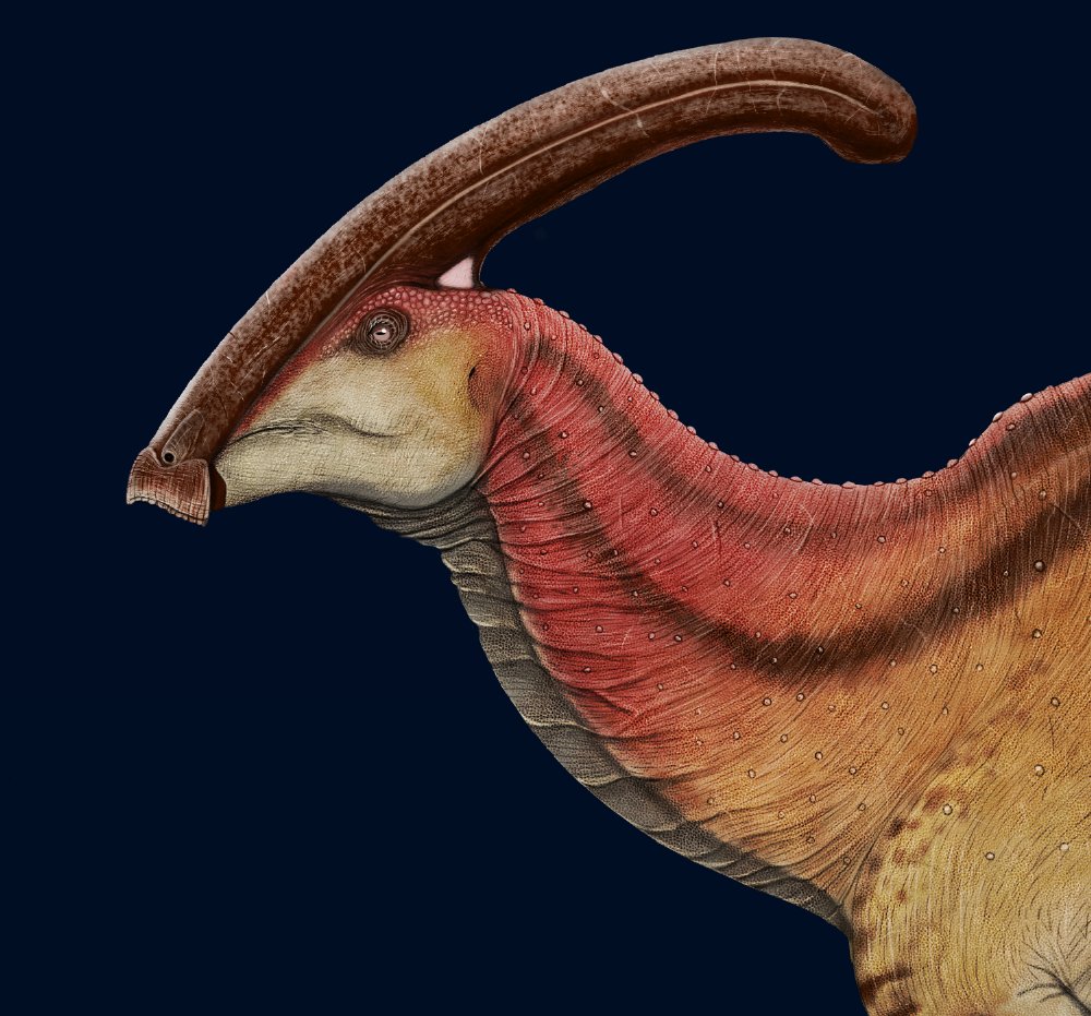 Hadrosaurs are beautiful ❤️❤️

#JurassicPark