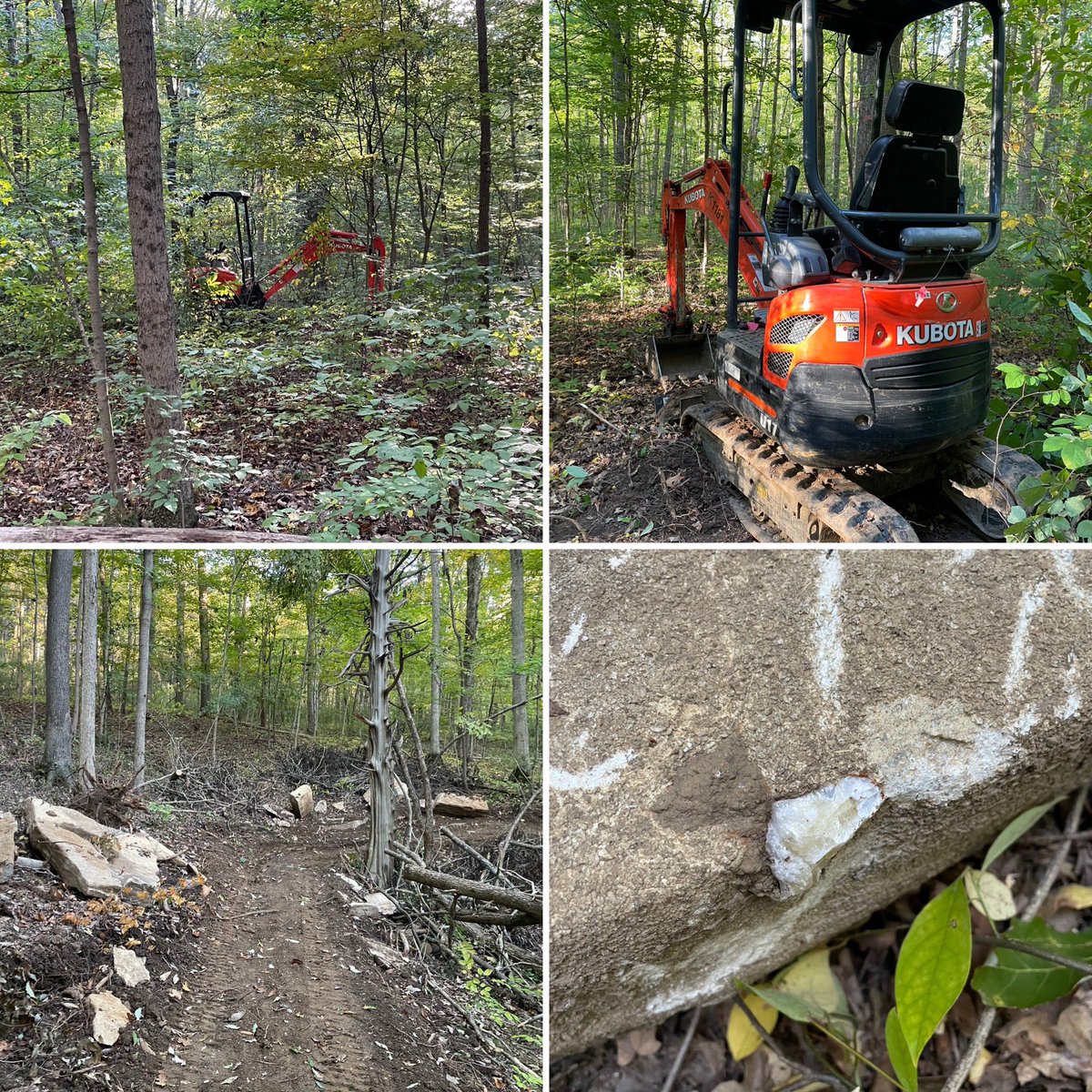 Lisa Kroll she/her tweet media