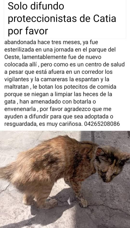 PerroUsuario's tweet photo. Reporta @edrasaal: #URGENTE #AdoptaNoCompres https://t.co/DGSUoP2nYC