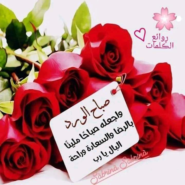 .

ببدايةِ كل صباح.. 
أصغوا لقلوبكم.. 
إفتحوا نوافذ الأمل.. 
واشعلوا نور الحياهـ.. 
ليس هناك من داعٍ لتذكر 
ألم الأمس أو الْخوف من الغد .…🌺🍃

.

#صباحيات    
#صباح_الخيرᅠ
#يخبرني_الصباح
#صباح_الخير_والسعادة