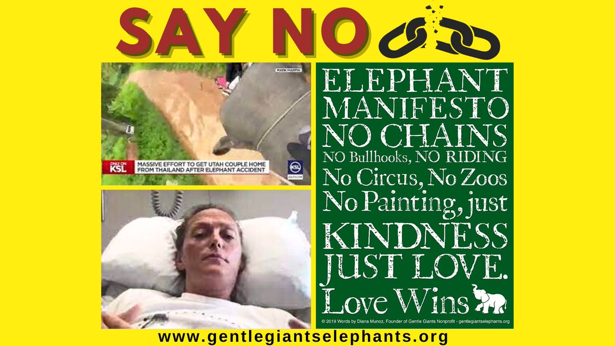 GentleNon's tweet image. 🚨❗CAUTIONARY TALE 🐘
Broken back, shattered hip, broken pelvis, internal injuries... All for the desire to ride an #elephant; one who has endured unimaginable abuse &amp;amp; cruelty!
Read👇 RT

m.facebook.com/story.php?stor…

#endspeciesism #RefuseToRide   #tourists

@KSLTV  @stae_elephants