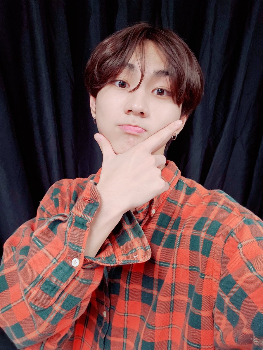 ENHYPEN WEVERSE tweet media