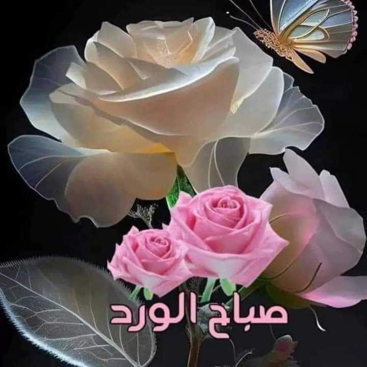 أكره سوء الفهم الناتج عن محادثة إلكترونية ؟ 
ينقصها أن ترى عين الطرف الآخر ونبرة صوته وملامح 
 وجهه لتدرك حالته ومزاجه قبل أن تصدر حكمك 💔