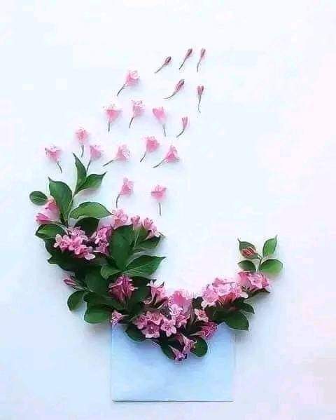 صباح الخير 
للذين يزرعون الورد و الياسميـن 
على شرفـات قلوبنـا 
للذين تركوا أثراً معطراً بالسلام
على الدرب أثنـاء العبور
للذيــن لهــم بصمــةٌ مميــزةٌ
على أوتارِ الحيــاة 
ولوحةٌ مزينـــةٌ
على جـدارِ الذكريـات 
لهم ألفُ دعـاء و أمنيـات بـالخيـر 🌹❤️
كل سعادة الكون لقلوبكم