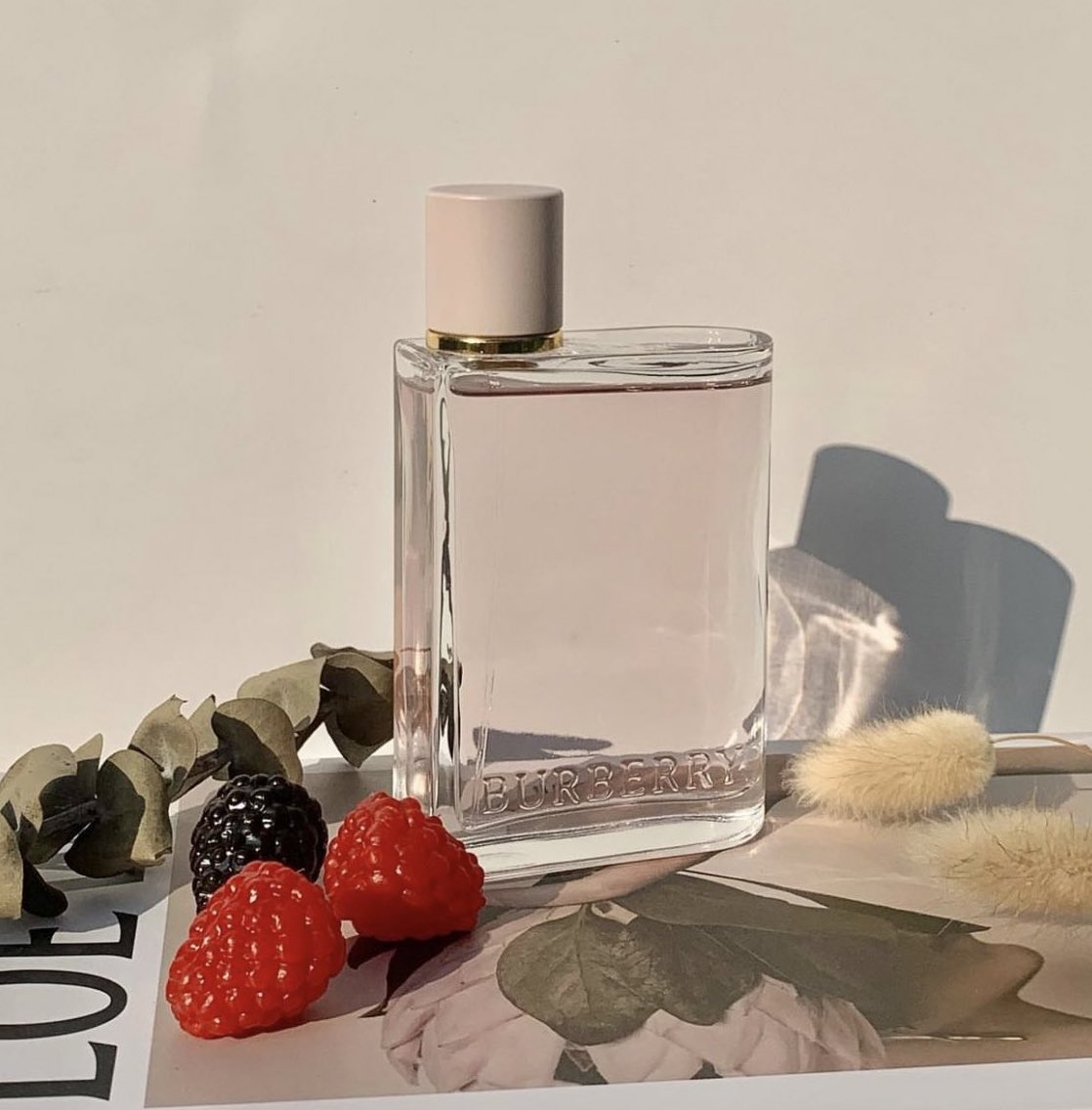 🎉 กิจกรรม แจกกกก เดือนตุลา

〰️น้ำหอม Burberry Her EDP 30 ml 〰️
หอมหวาน สดใส คุณหนู👗✨🌷🍓

👉🏻แจกจำนวน 1 รางวัล 

✔️กติกา 
〰️ Retweet + Follow ทางร้านค้าบ

🔊ประกาศผล 15/10