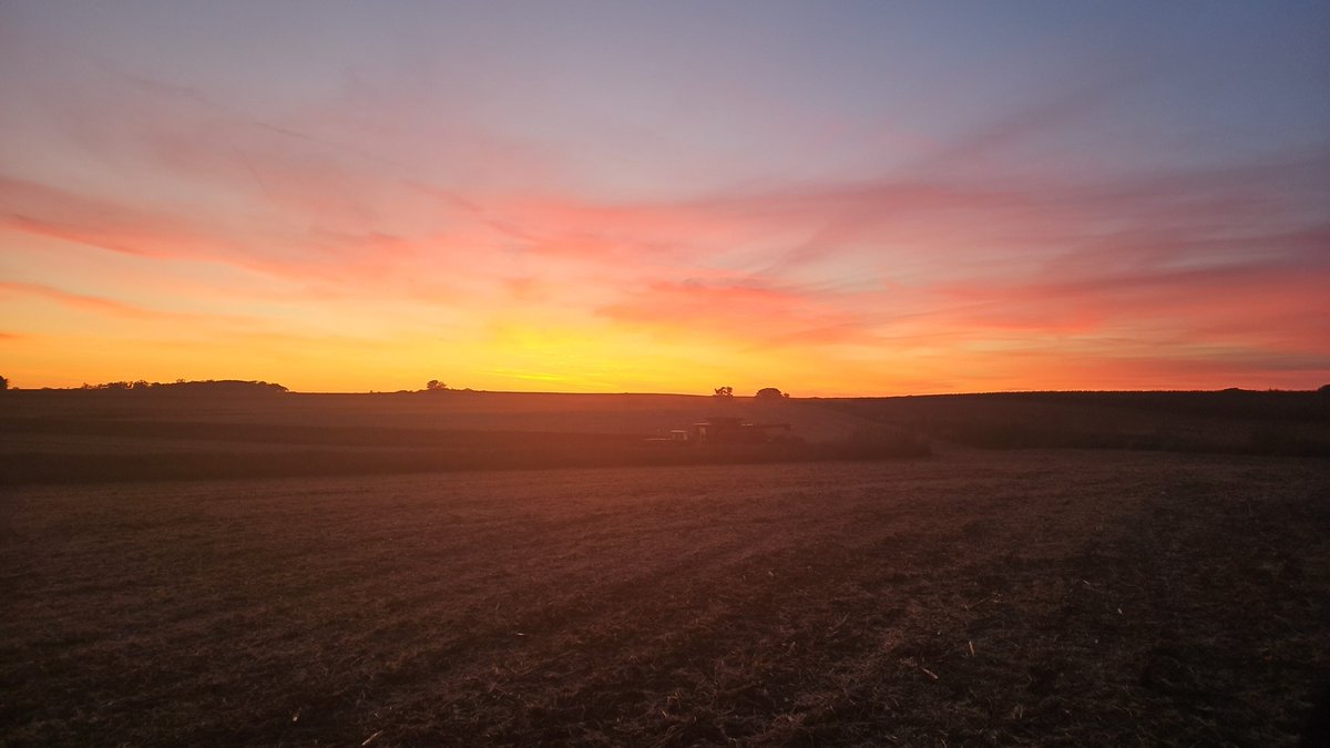 PETERSONIHFARMS's tweet photo. Not a bad way to end the day of combinen...
#harvest23
#combineviews https://t.co/qnGNAYVMFa