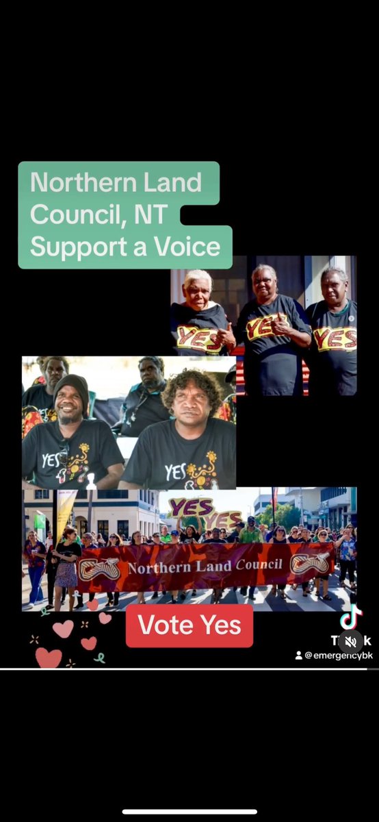 @DB1960s @yes23au @Malarndirri19 @kwongkylie @ShireenMorrisMs @TurnbullMalcolm @hitchcock_jess And yet 80% First People don’t agree with your elders. #VoteYesAustralia Don’t buy the lies