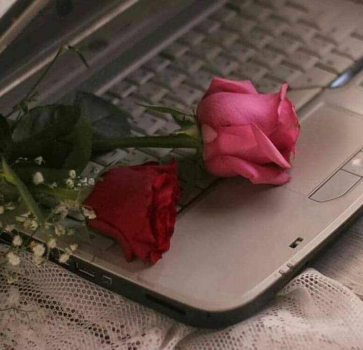 xoor_2's tweet photo. " كنتُ أنازع فيك المكانَ لنلتقي، حتى إذا التقينا نازعتُ فيك الزمانَ ليطول. "
#صباح_الخير_والسعاده_للجميع 
 
#الاشياء_الجميله_بكلمه https://t.co/oWN3Hf42Dz