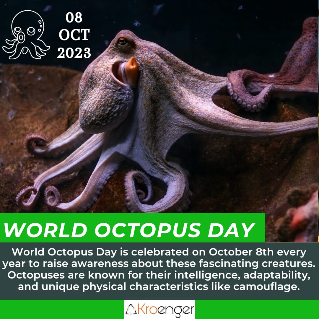 World Octopus Day is celebrated on October 8th every year to raise awareness about these fascinating creatures. 

#worldoctopusday #octopusday #octopus #climatechange #awareness #savemarinelife #protectmarinelife #Sakthikulangara