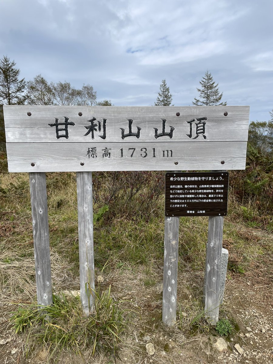 off_lineHAL's tweet image. やまなう