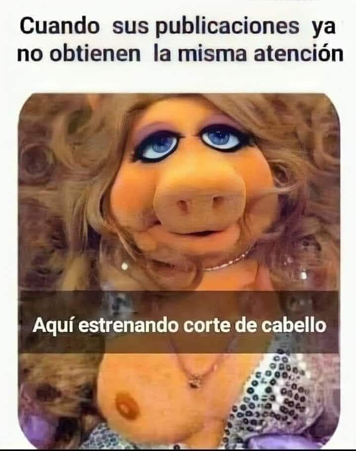 PateaKulos's tweet photo. Jajajajajajajajajajajaja jajajajajajajajajajajaja https://t.co/W167aOcrZ5