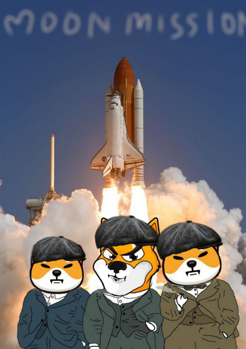 They said memecoins Moon Landing was a myth? Not until #BabyShib started a mission of its own.

#BabyShibaInu is moon-bound, by the order of the #BabyShibArmy! 🐕 

#SHIBARMY $SHIB #ETH #BTC