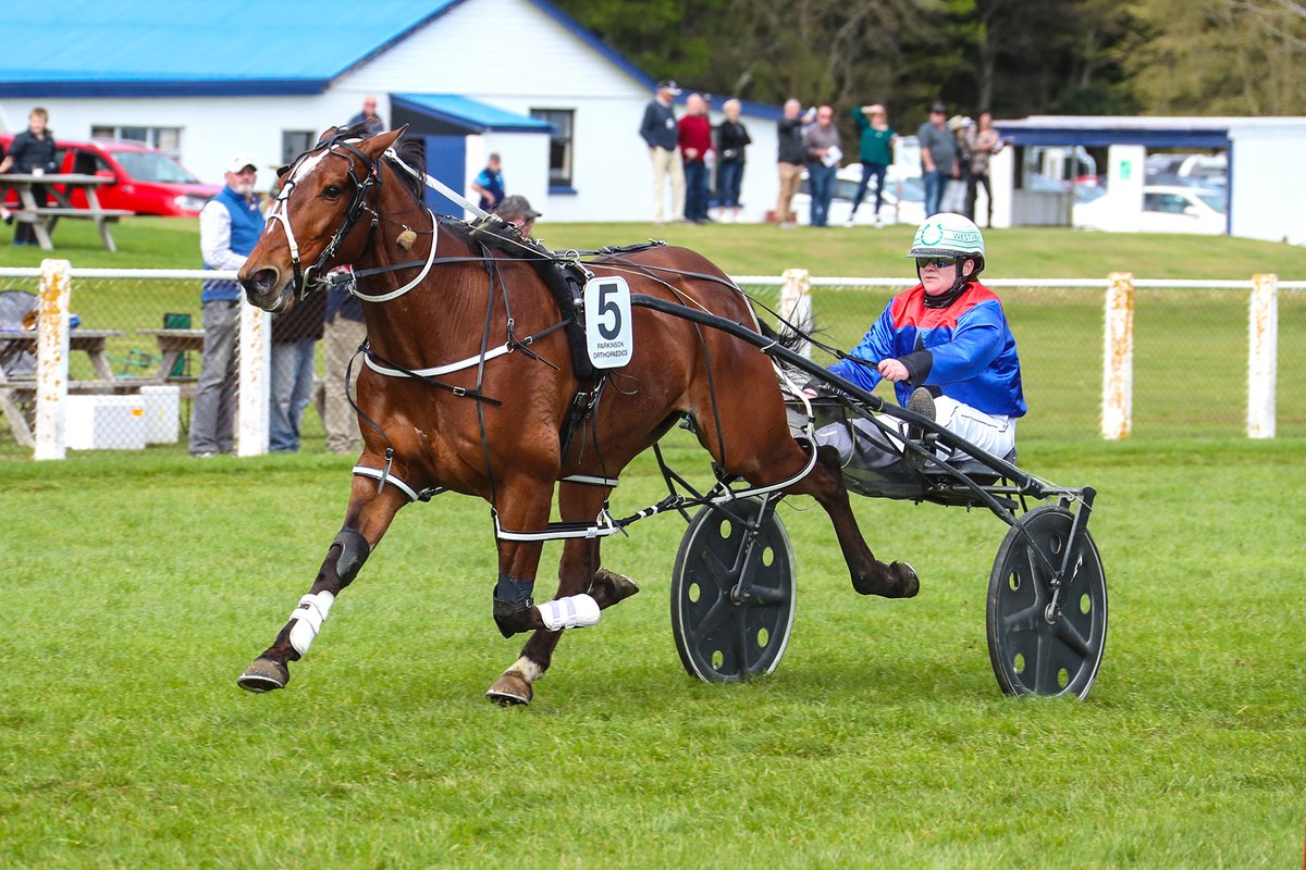 Sarah O'Reilly had the day of her dreams at Methven today. First she locked up her 4th McMillian NZ Junior Drivers championship, and then followed up by winning the Methven Cup. As a local Methven girl this is the race she's always wanted to win
