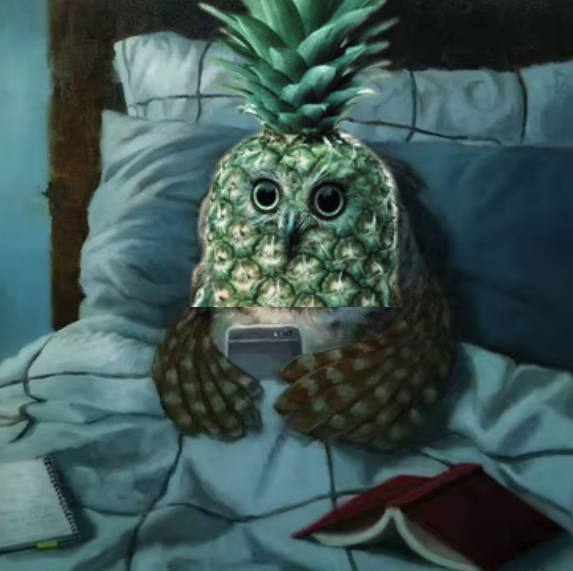 GN sincerely pineowl < 3 ♥️🍍🍍#HOOT #HOOT