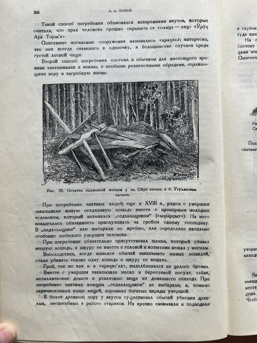 aytlnpfnv's tweet photo. Сделайте эстетику своей жизни при условии, что можно использовать только те фотографии, которым не больше месяца https://t.co/uZyN2Ssrwk