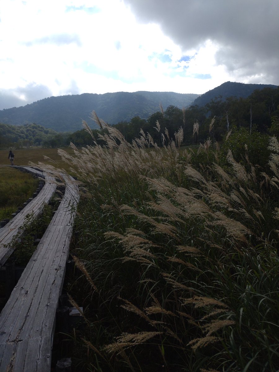 neri_de_gans's tweet photo. 晩春も夏も素敵だけど
秋の枯れた尾瀬、好きだ https://t.co/F0bAN7Ikc7