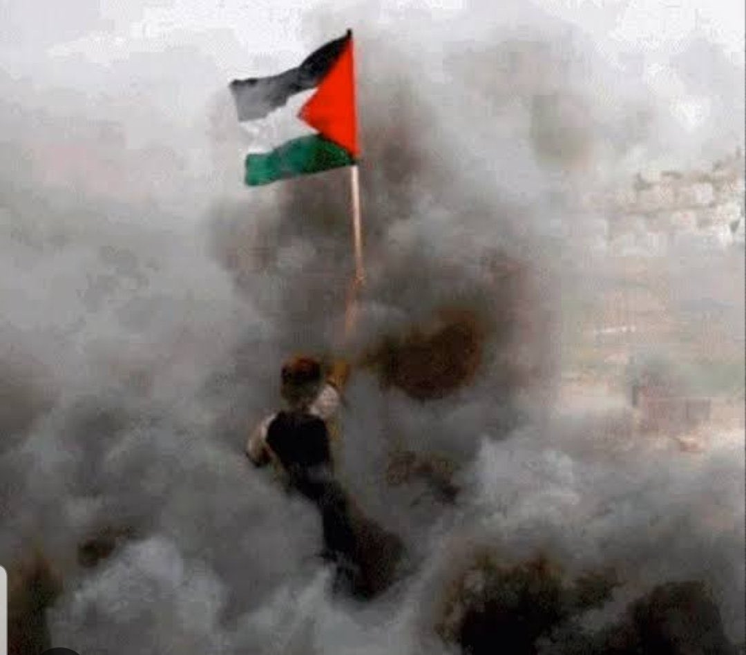 ربنا يحفظ أهلنا فى فلسطين ..
ربنا معاكم يا أبطال 🙏🏼🙏🏼💪🏼💪🏼💪🏼💪🏼