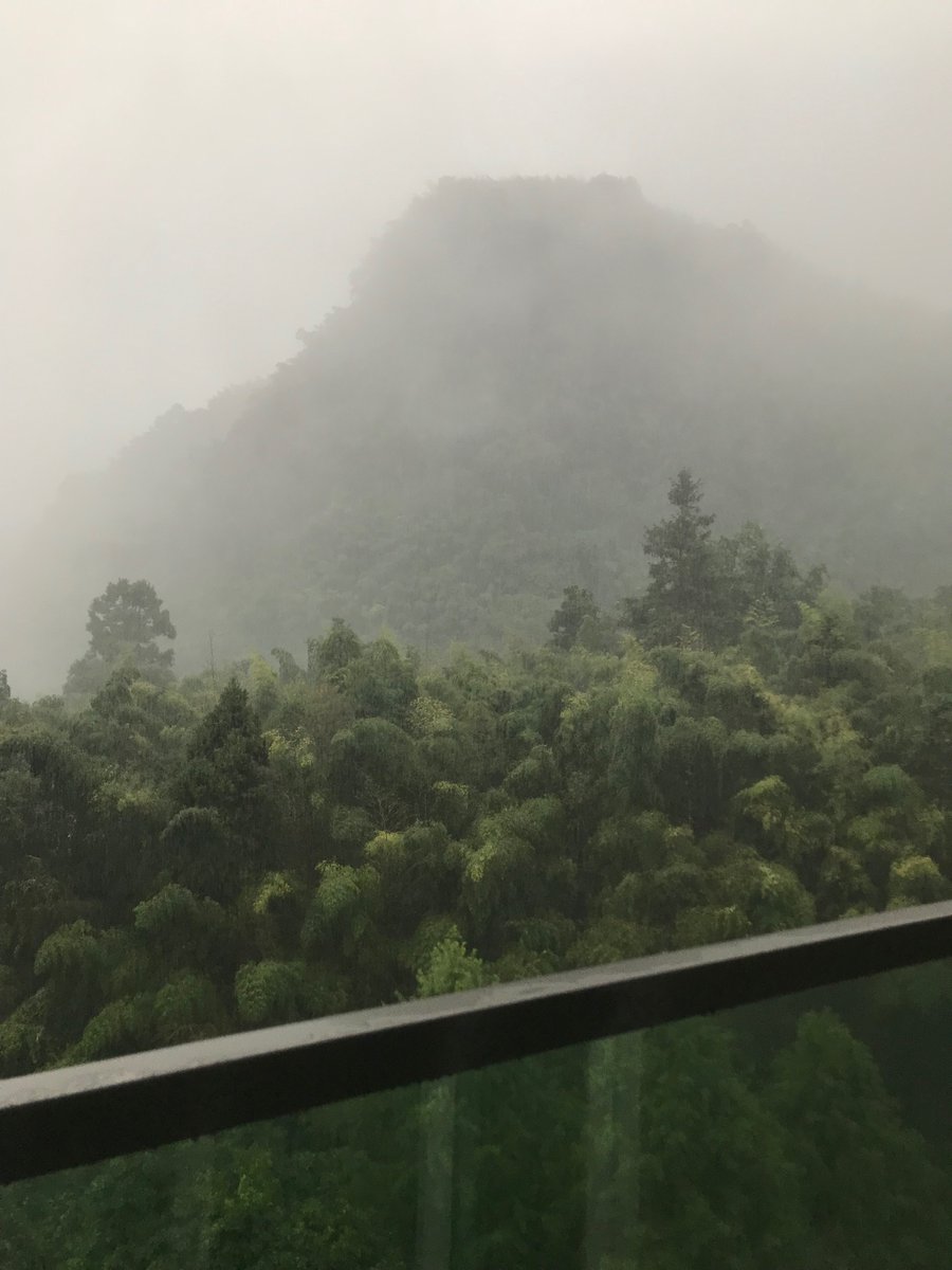 Eric20493014's tweet photo. 開啟連假模式～
期待明天滿滿芬多精的森林 https://t.co/196lXecA6i