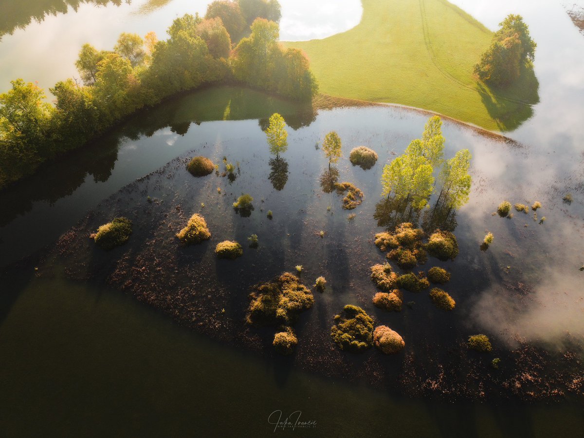 A cascade of golden light weaves through the tree crowns at the Planina plain. #goldenlight #golddnhour #planinskopolje #floodedplaninaplain #autumn #fall #aerial #drone #morning #planinskopolje #slovenia #slovenija #ifeelslovenia #landscape #nature #beautiful #natgeo #bbctravel