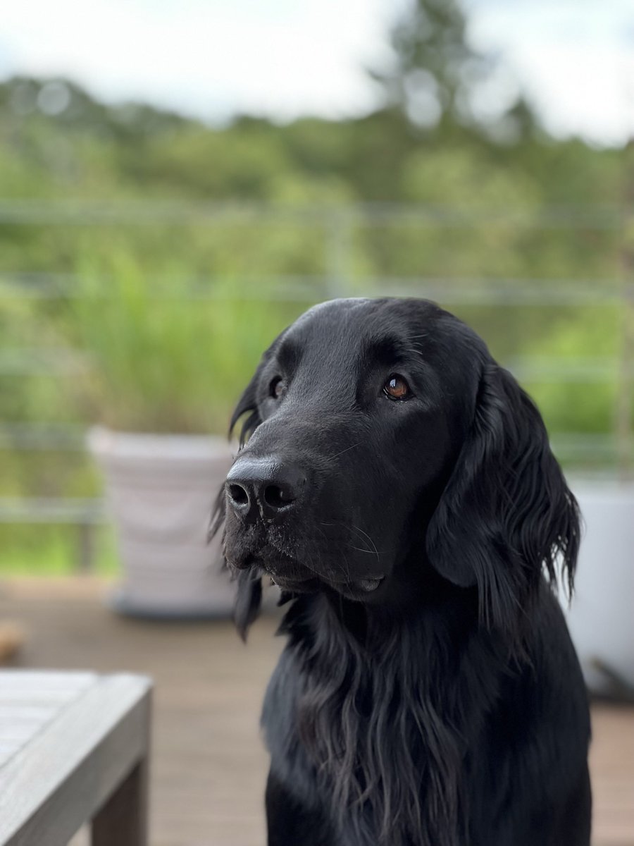 Jan Waldecker tweet media