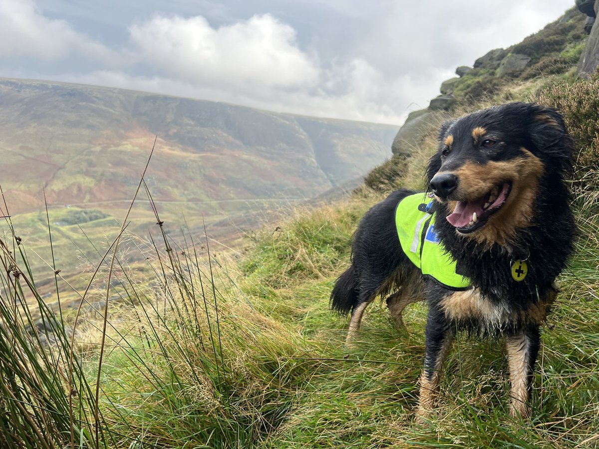 DogBramble's tweet photo. Training in the #peakdistrict this weekend were bigger, longer, harder searches with lots of technical steep ground and crags to negotiate. #dogtraining #searchandrescue #mountaindog @MRSearchDogsEng @NNPMRT https://t.co/O7q1dzhYNW