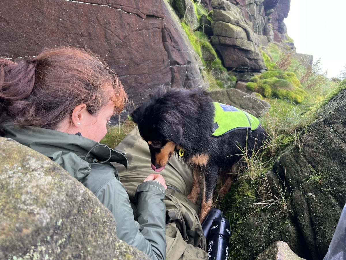 DogBramble's tweet photo. Training in the #peakdistrict this weekend were bigger, longer, harder searches with lots of technical steep ground and crags to negotiate. #dogtraining #searchandrescue #mountaindog @MRSearchDogsEng @NNPMRT https://t.co/O7q1dzhYNW