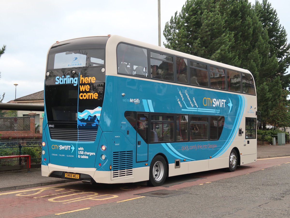 Midland Bluebird tweet media