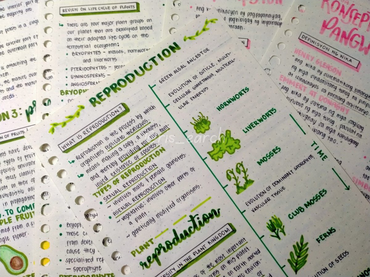 ris_earch's tweet image. ∘⁠˚⁠˳⁠° #studytwt | #archivetwt .⁠｡⁠*⁠♡

first term - midterm notes !