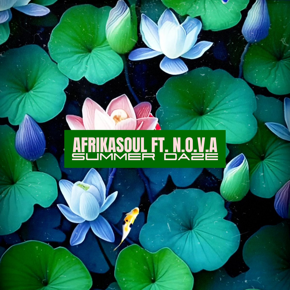 aFrikaSoul tweet media