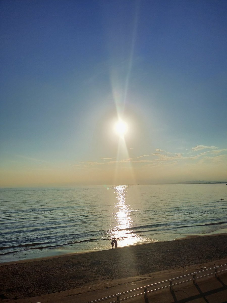 🌻青空🌻 tweet media