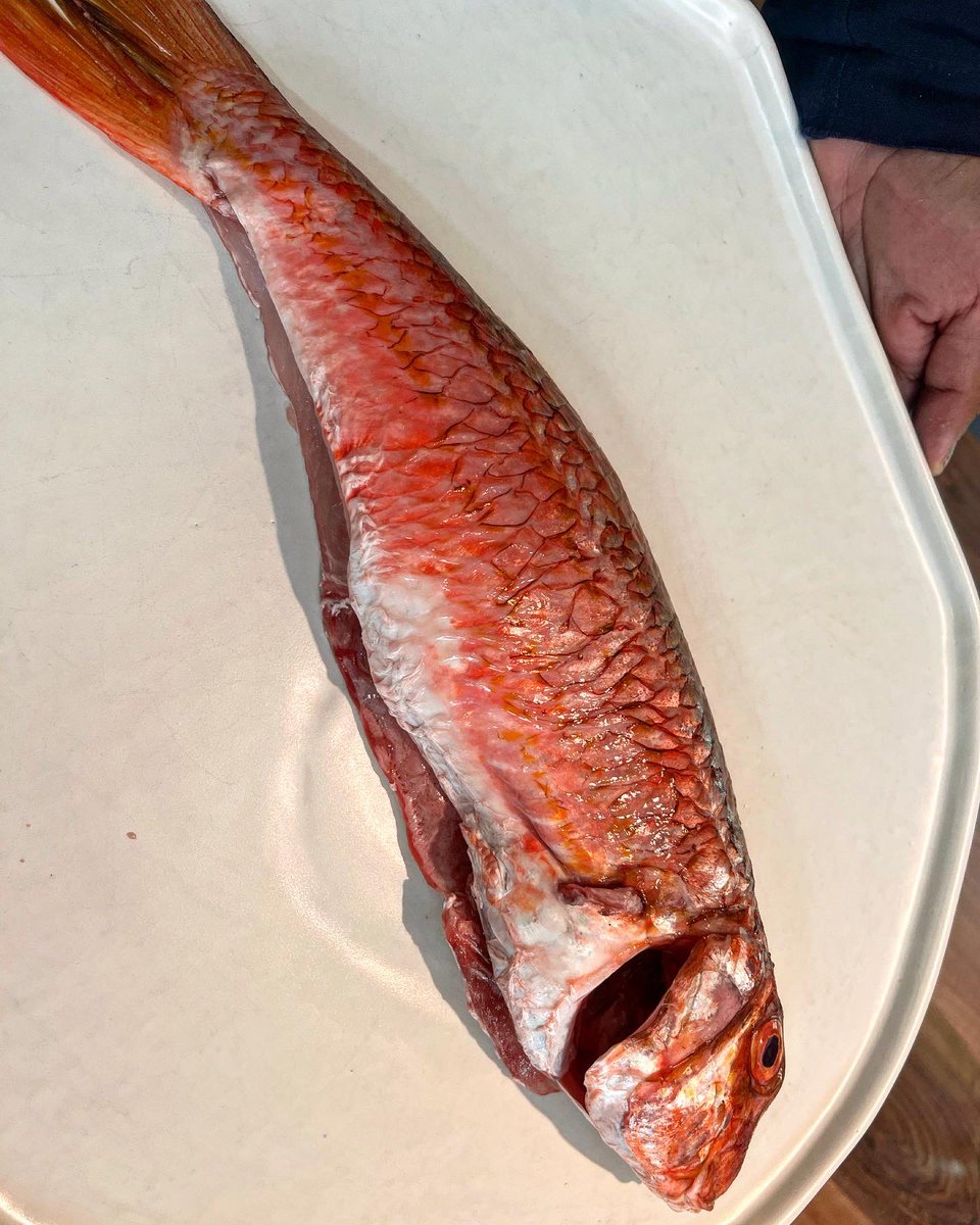 lsuarezdelezo's tweet photo. Pescados de categoría en #Bascoat. Un salmonete de 1 kg y un lenguado de 1.2 kg. Impecablemente cocinados https://t.co/UaNfF8nyj4