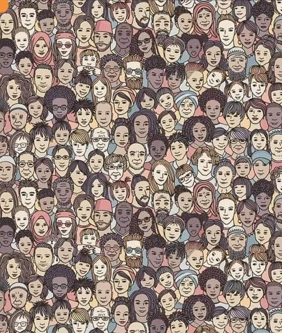 Can you find the cat?