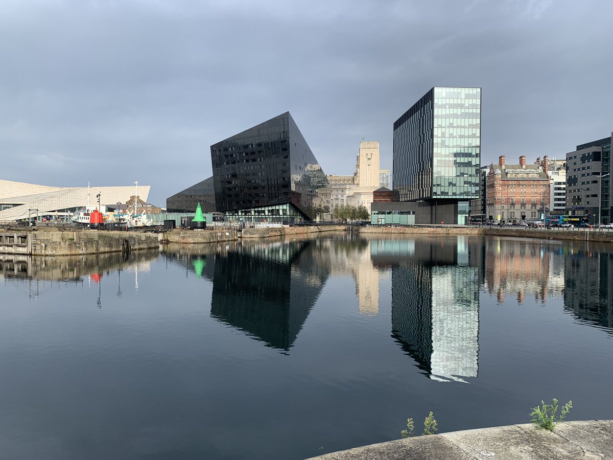 @melanie-felten.bsky.social tweet media