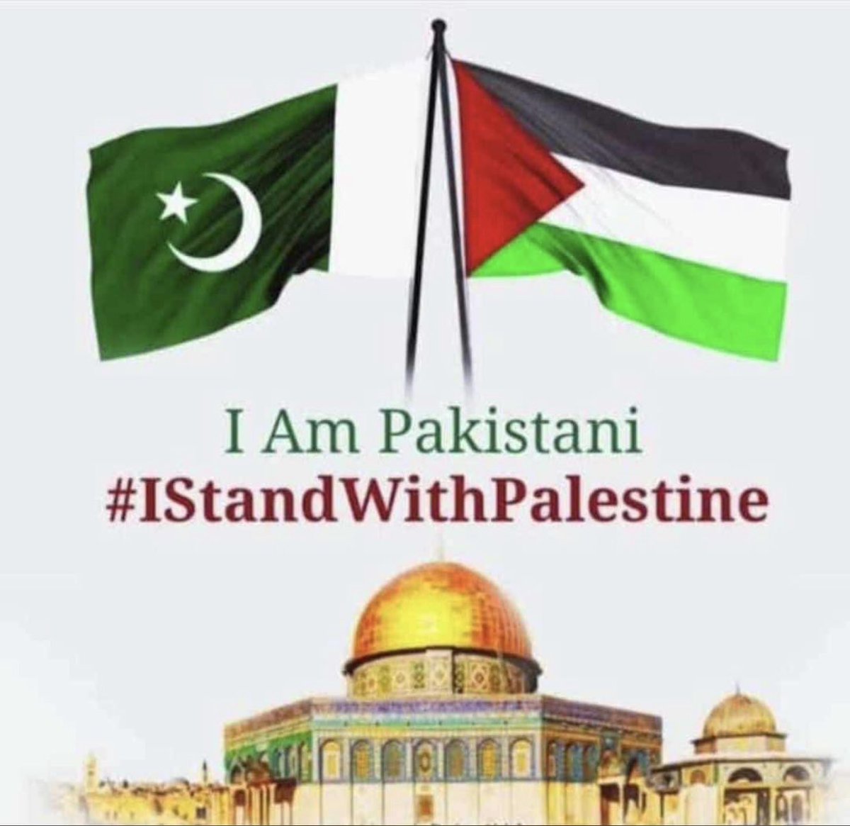 Rasheed Solangi (@rasheedsolang15) on Twitter photo 