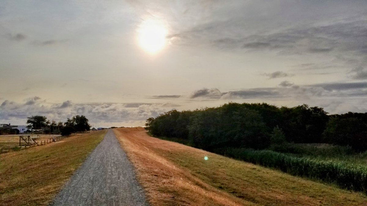 Impressionen von Fehmarn... 
 #Fehmarn #Ostsee #Insel #Ferien #Urlaub #ostseeliebe #küstenliebe #balticsea #meerliebe #schleswigholstein #strand #meerweh #ostseeurlaub #reiselust #ostseekult 
natuerlichfehmarn.de