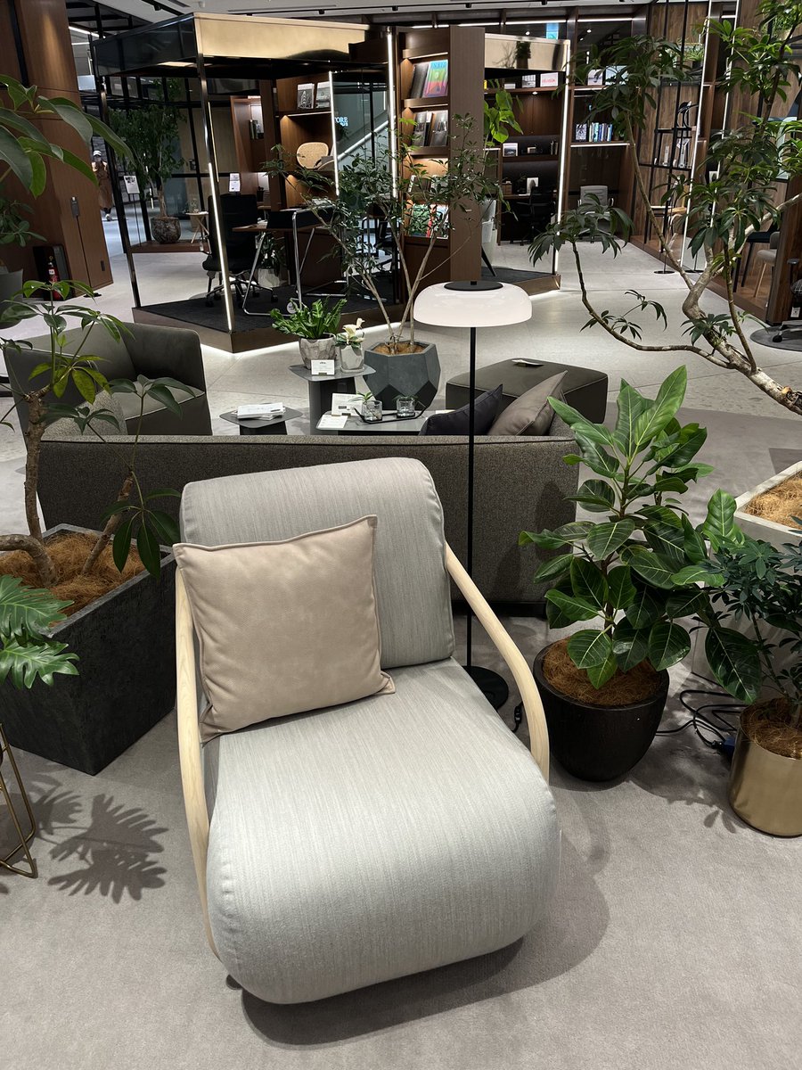 PlusplusShop's tweet image. 本日ご紹介するのはNUURAフロアランプです

細めのポールとガラスシェードが上品で
置くだけで一気に高級感のあるお部屋に✨

LEDでありながら温かさのある光をもたらします☁️
お家でゆっくりくつろぐのにピッタリです

#クリアトーレウイズプラス
#おうち時間
#フロアランプ
#丁寧な暮らし