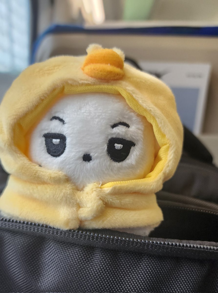 키뭉이와 함께라면❤️