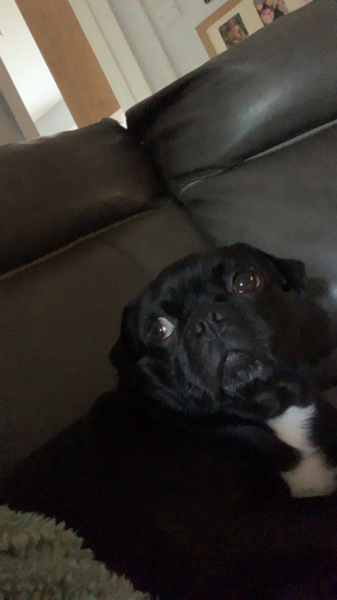 Squidji_'s tweet photo. @elievess @isurg3yt Bro is shocked https://t.co/gSDjssyK3E