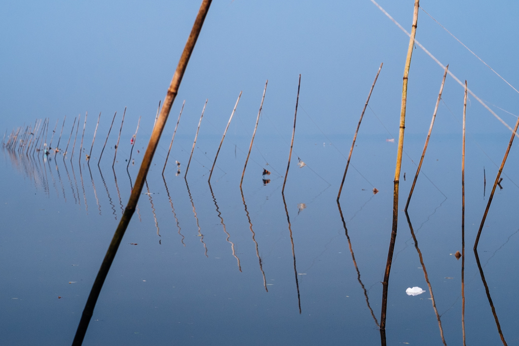 SloganMurugan's tweet image. #IndianTideLine 
Poles for fish traps in the mangroves. Thane Creek.