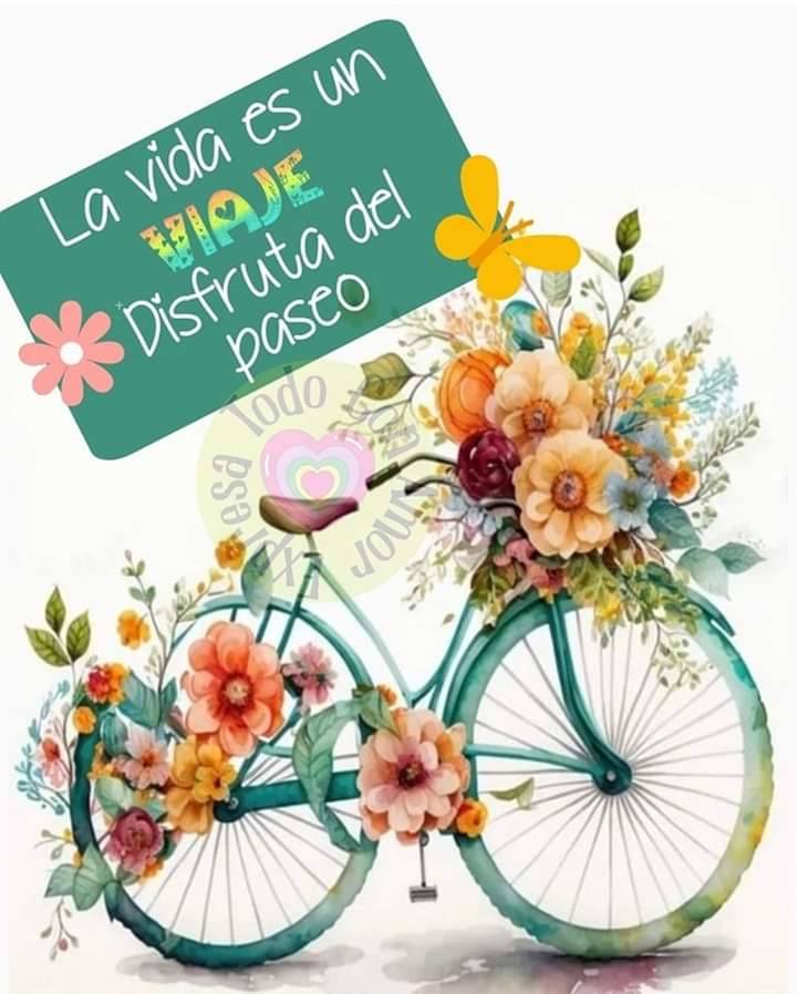 🌼🌼🌼🌼🌼🌼🌼🌼🌼🌼🌼🌼🌼🌼