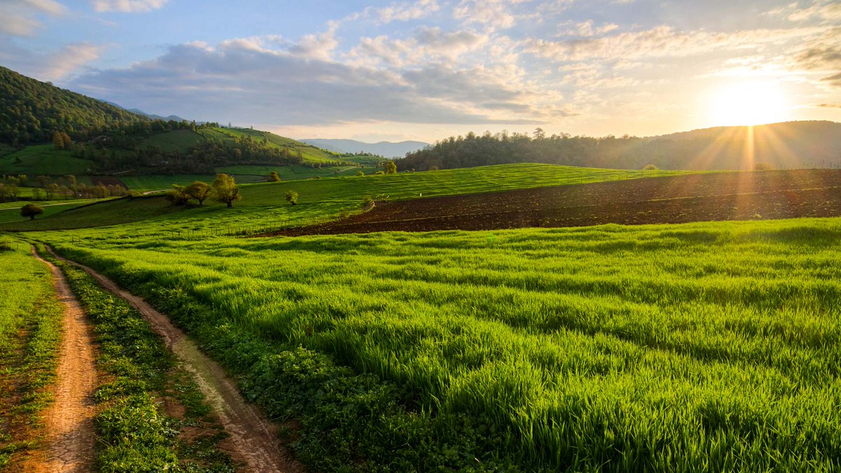 #Kiasar, #Mazandaran Province, Northern #Iran
#ایران، #مازندران، #کیاسر